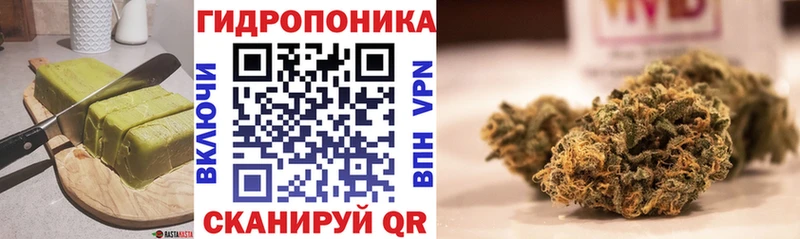 Canna-Cookies марихуана  OMG как войти  Вилюйск 