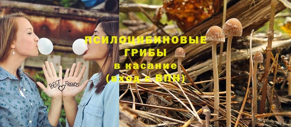 мет Верея