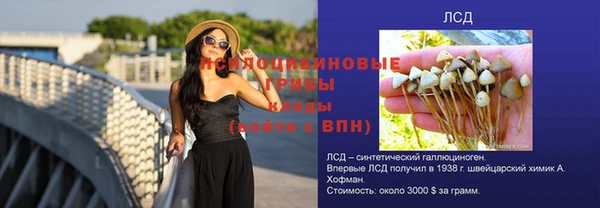 Альфа ПВП Богородск