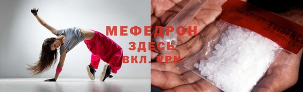 spice Богданович