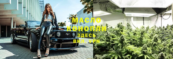 spice Богданович