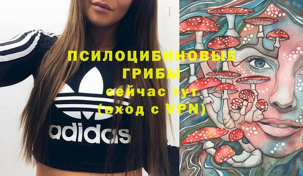 соль ск Белокуриха