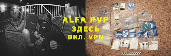 индика Новодвинск