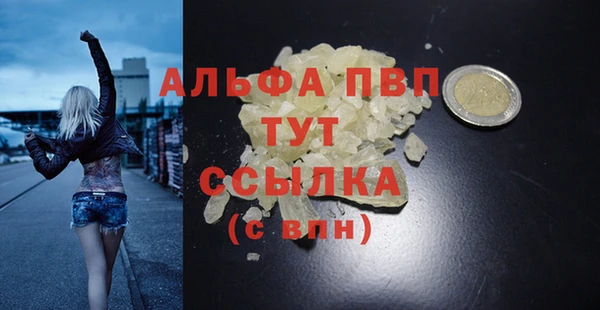 spice Богданович